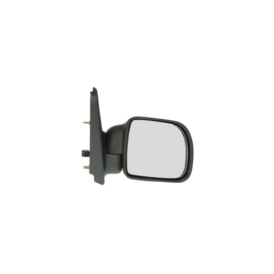 Blic 5402-04-9221151P Wing Mirror for Renault Kangoo