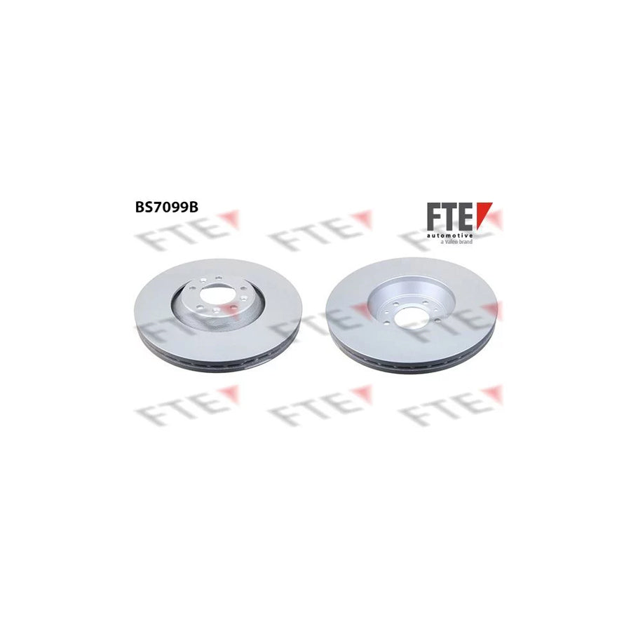 FTE 9081071 Brake Disc
