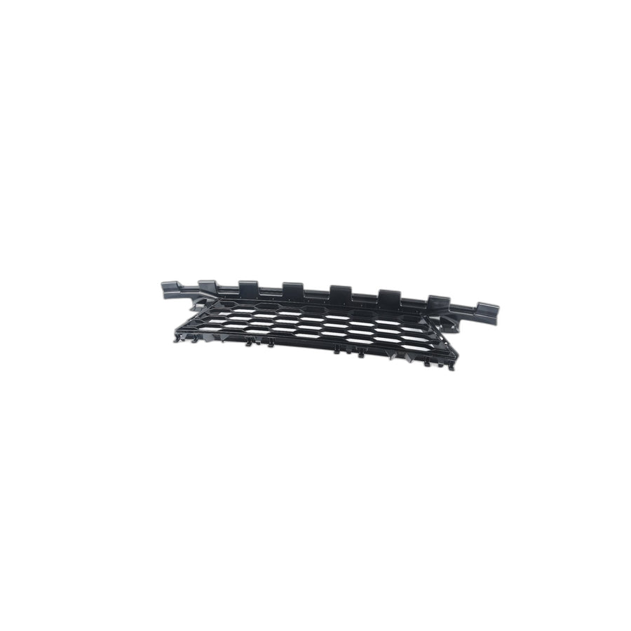 Genuine BMW 51118069766 G29 Grill, Air Intake, Center (Inc. Z4)
