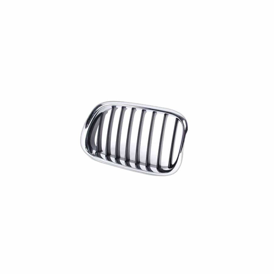 Genuine BMW 51138402645 E53 Grille, Front, Left (Inc. X5 3.0i, X5 4.4i & X5 3.0d)