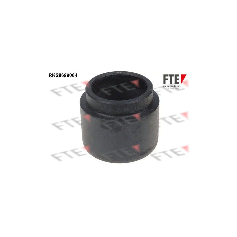 FTE Rks8699064 Piston, Brake Caliper