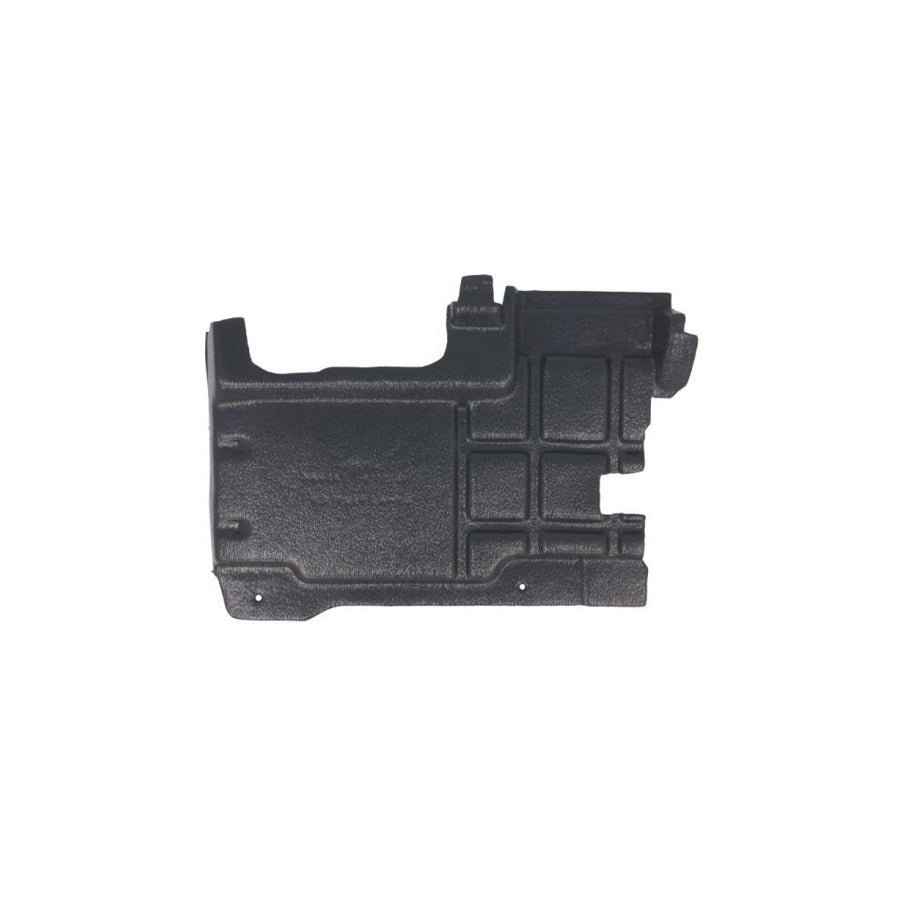 Blic 6601-01-6049807P Repair Panel for RENAULT LAGUNA