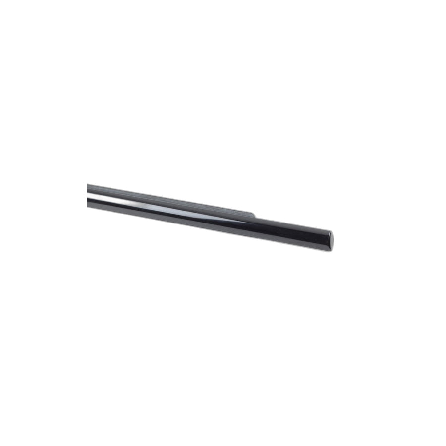 Genuine BMW 51348257703 E53 Outer Weatherstrip, Left GLANZSCHWARZ (Inc. X5)