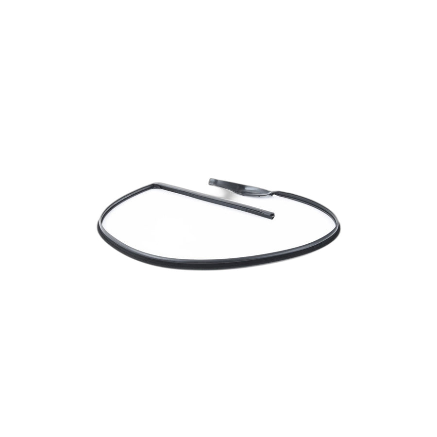 Genuine BMW 51357179123 Seal, Door Seam, Roof, Rear Left (Inc. 760Li, 750LdX & 730Ld)