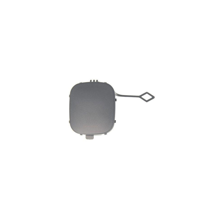 Blic 5513-00-4003921P Flap, Tow Hook