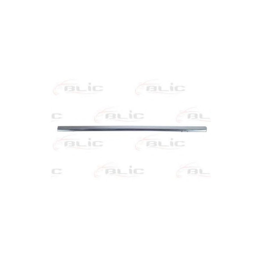 Blic 5703-04-9539571Cp Door Molding for VW Passat