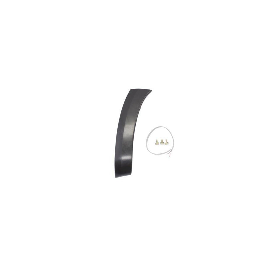 Blic 5703-08-8179377P Trim / Protective Strip, Mudguard for Toyota Rav4 III Off-Road (Xa30)