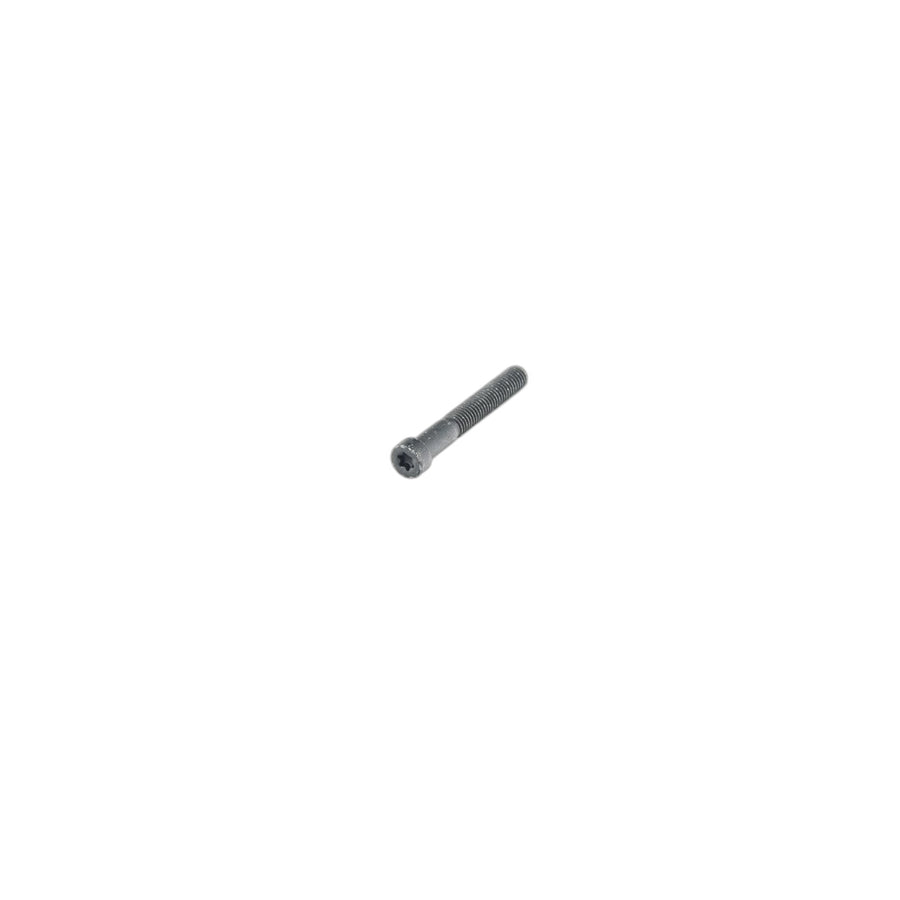 Genuine BMW 51247010310 E53 Torx Bolt ISA M6 (Inc. X5 3.0i)
