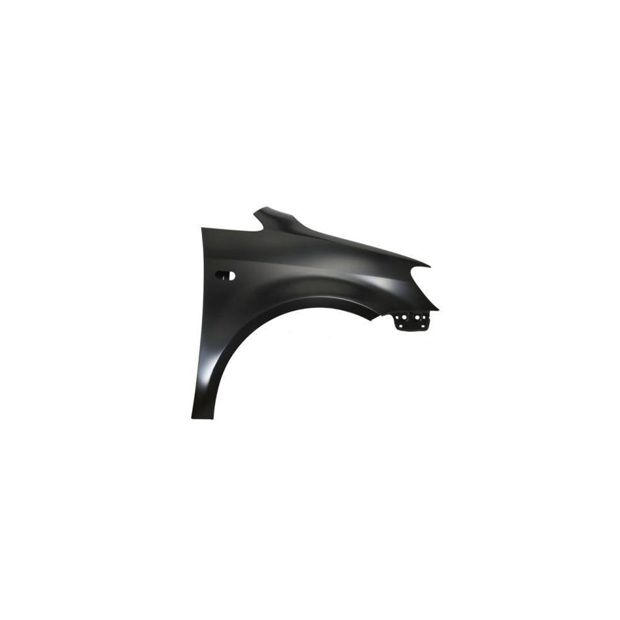 Blic 6601-01-0524808P Repair Panel for Citroen C5