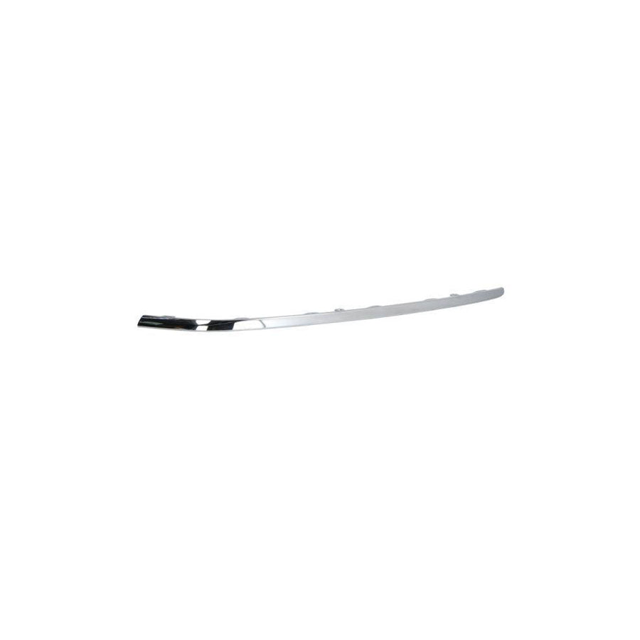 Blic 6502-07-9547911P Bumper Moulding for VW Passat