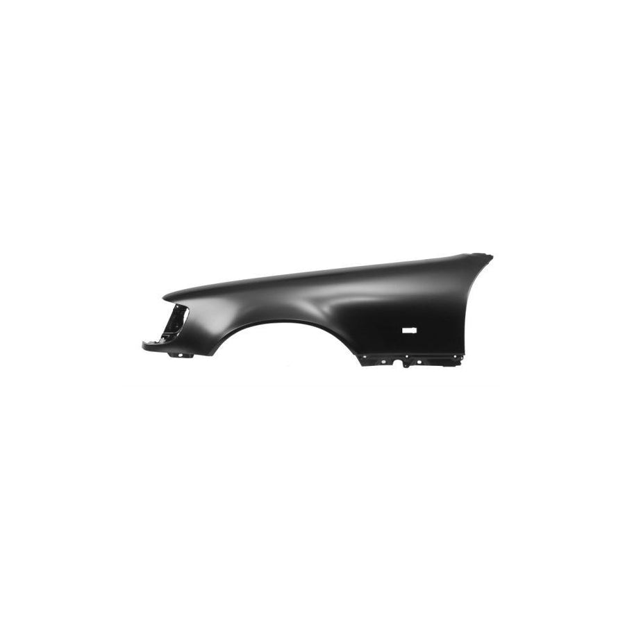 Blic 6504-04-3516313P Wing Fender Suitable for Mercedes-Benz S-Class