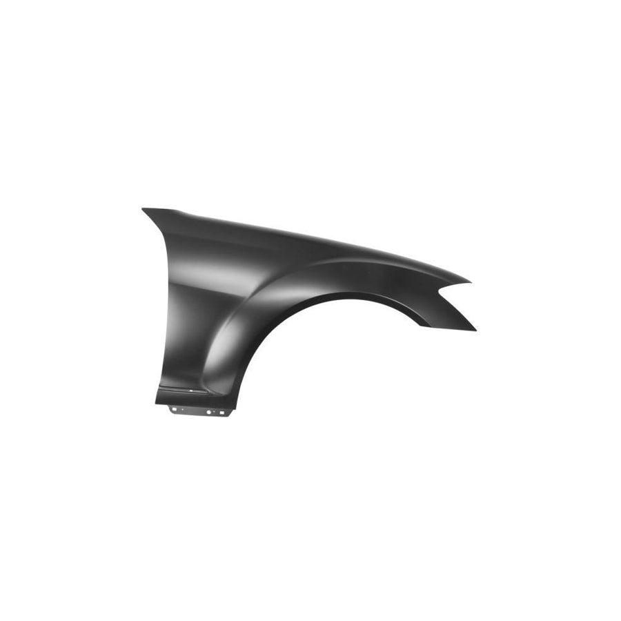 Blic 6504-04-3514312P Wing Fender Suitable for Mercedes-Benz S-Class Saloon (W221)