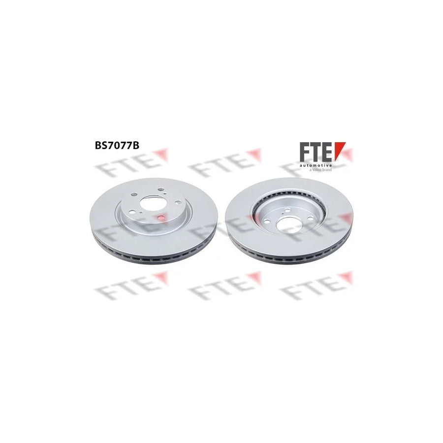 FTE 9081095 Brake Disc