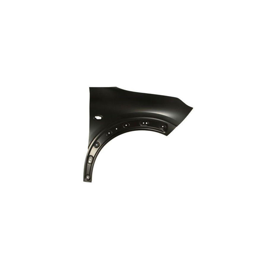 Blic 6504-04-0540312P Wing Fender for Citroen C4 II Cactus