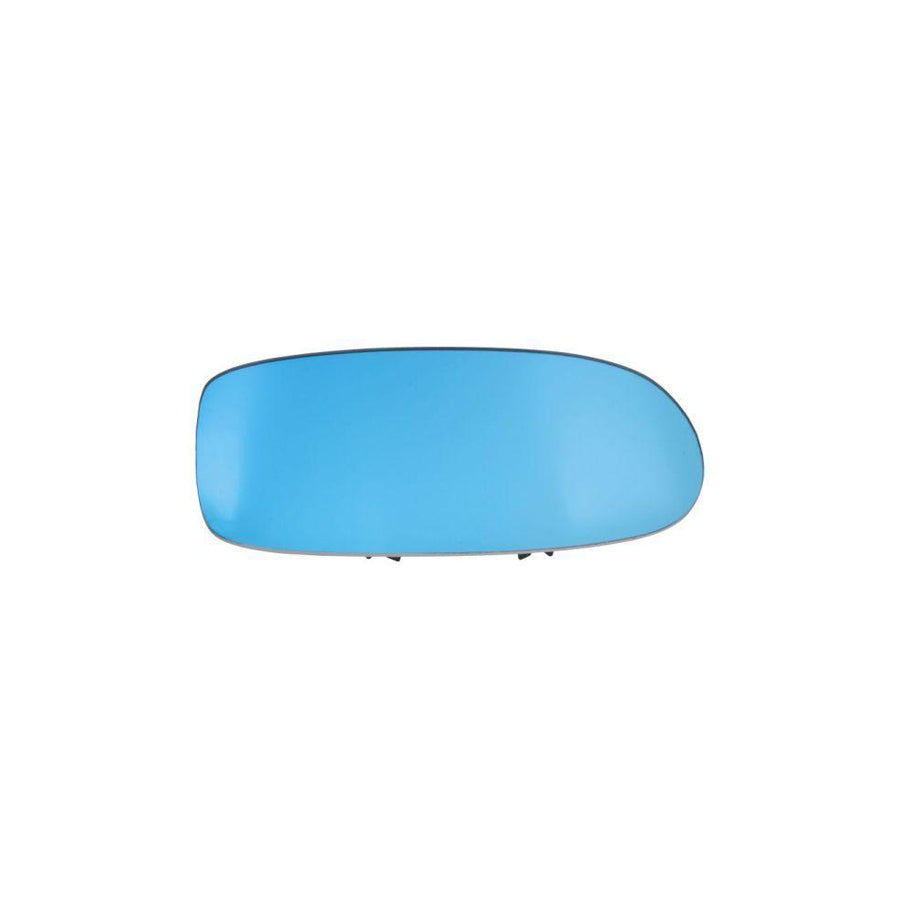 Blic 6502-08-9507201P Front Cowling for VW Polo V Hatchback (6R1, 6C1)