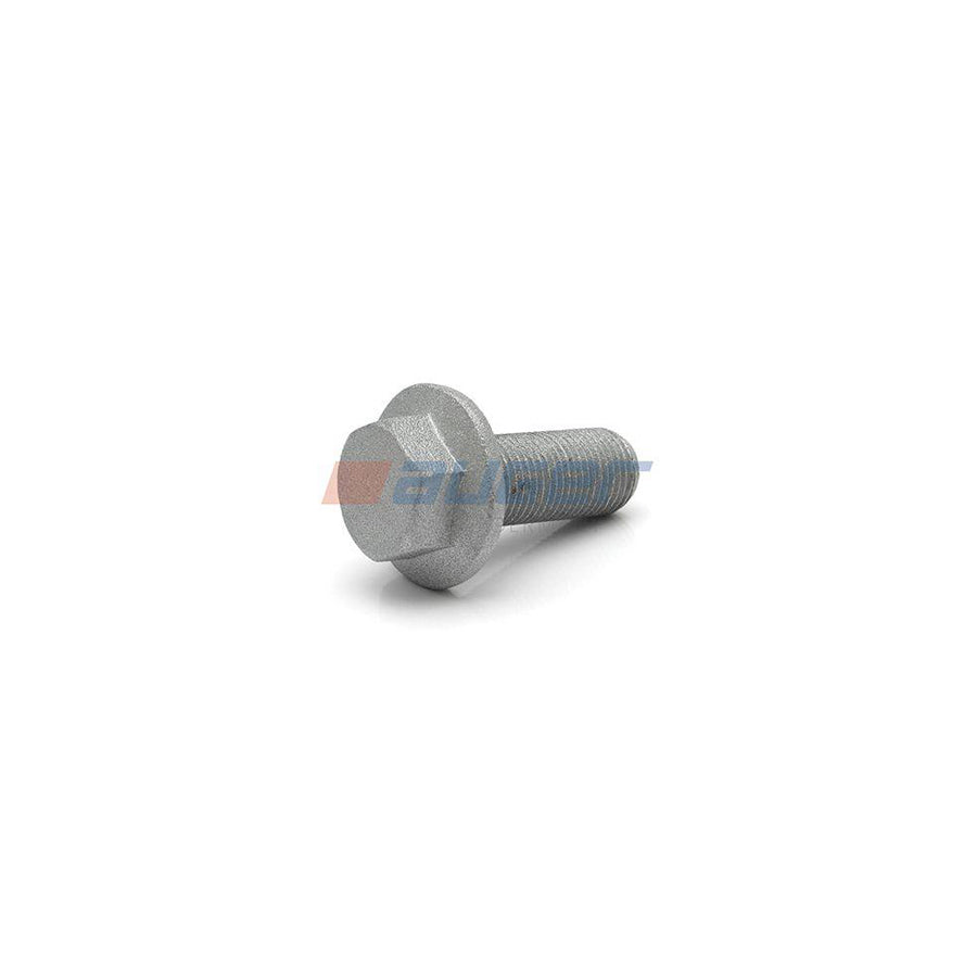 Auger 51522 Screw