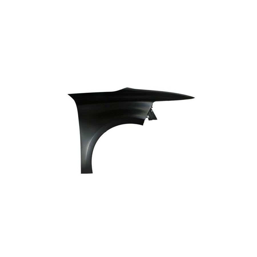 Blic 6504-04-0538314P Wing Fender for Citroen C4 II Picasso