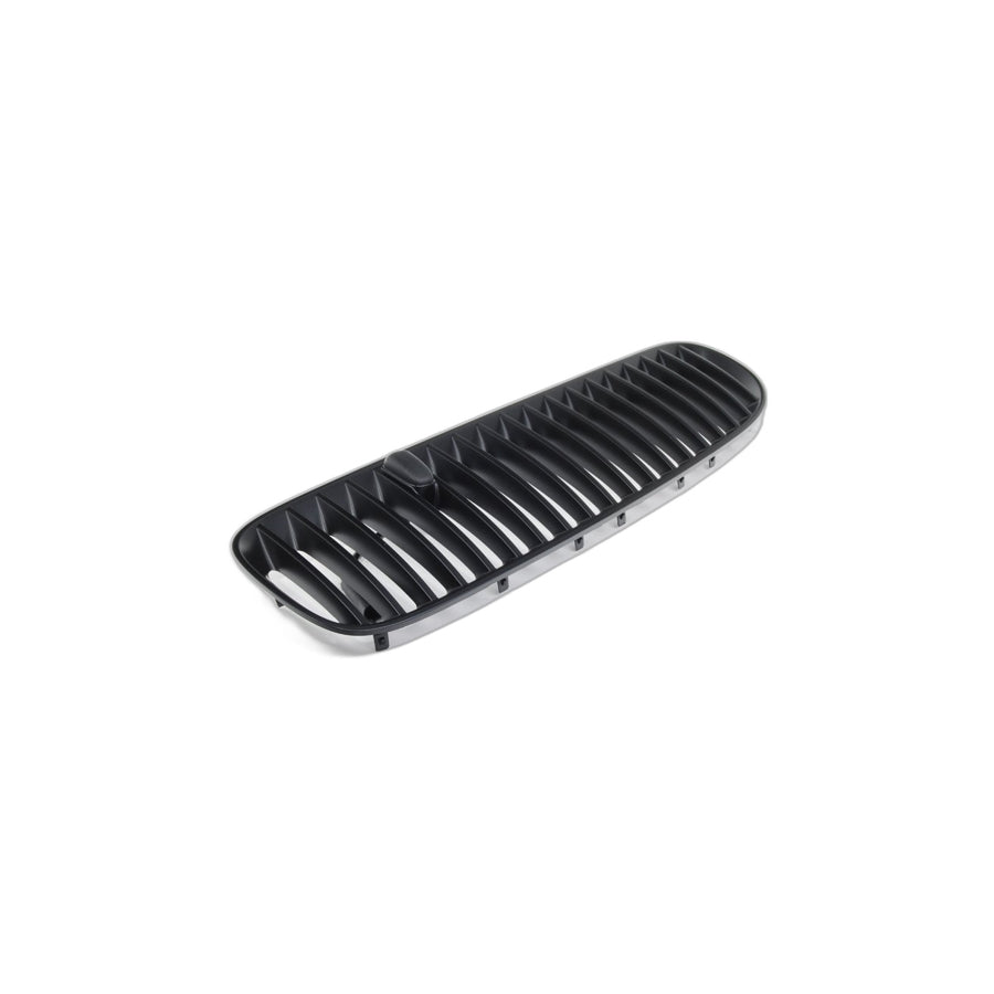Genuine BMW 51137113729 E53 Grille,Air Inlet Left SCHWARZ (Inc. X5 3.0d & X5 3.0i)