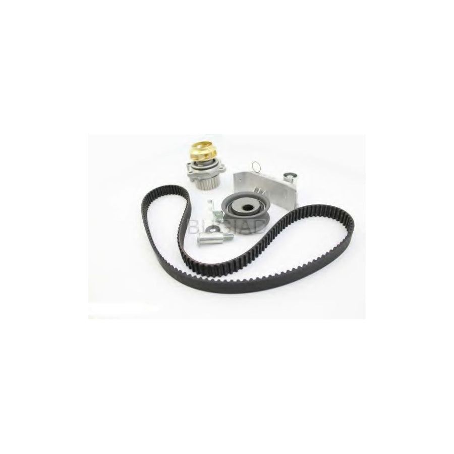BUGIAD Bsp23316 Timing Belt Kit