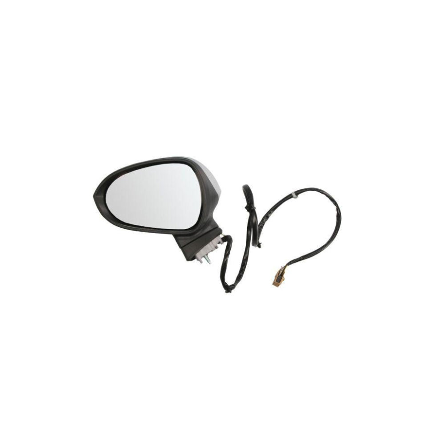 Blic 5402-21-044370P Wing Mirror for Citroen C4 II Picasso