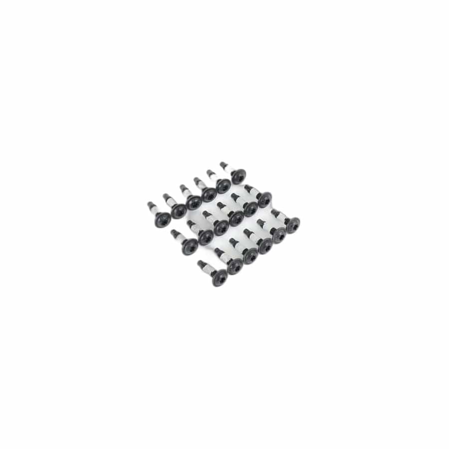 Genuine BMW 54377175578 F83 F33 Fastening Set, Gasket (Inc. 325d)