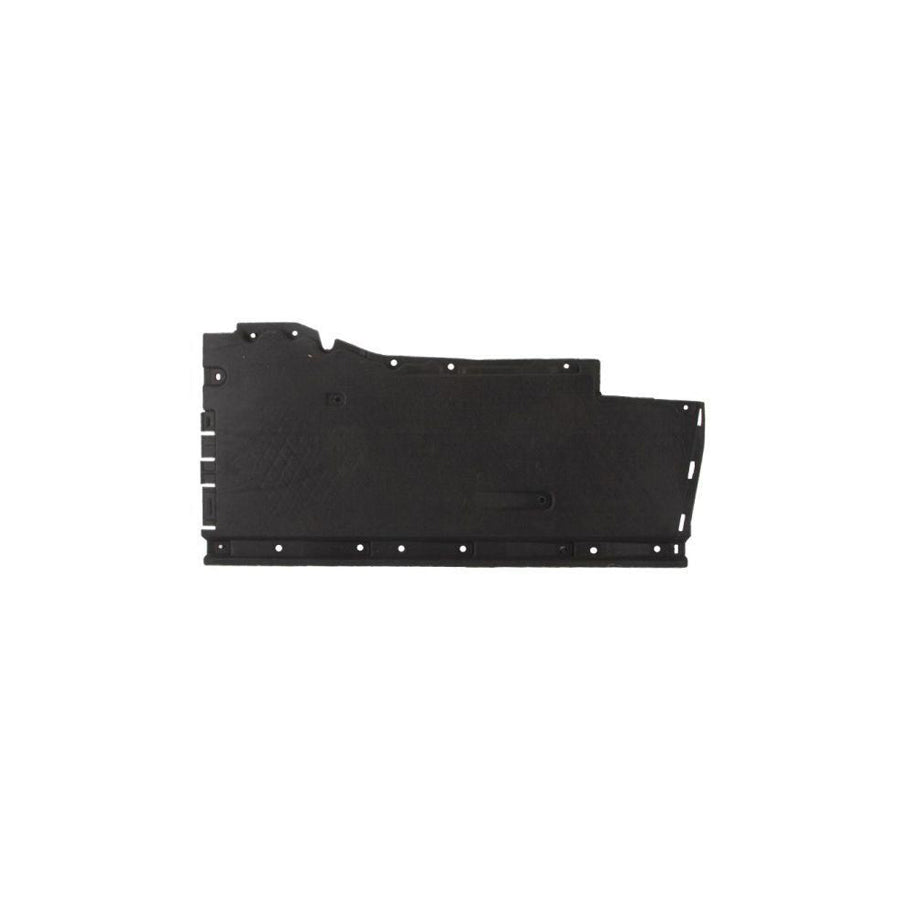 Blic 6601-02-0032983P Engine Cover for Audi A6