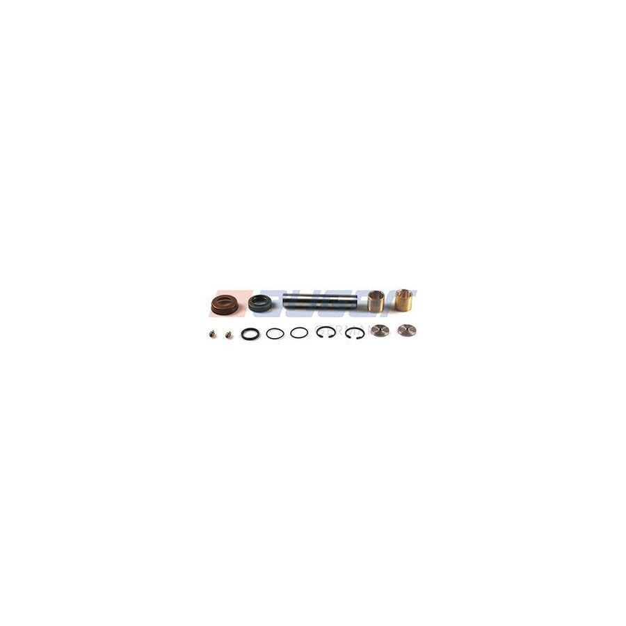 Auger 53710 Repair Kit, Kingpin for Renault Trucks Messenger