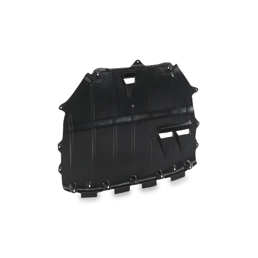 Blic 6601-02-0021860P Engine Cover for Audi Tt
