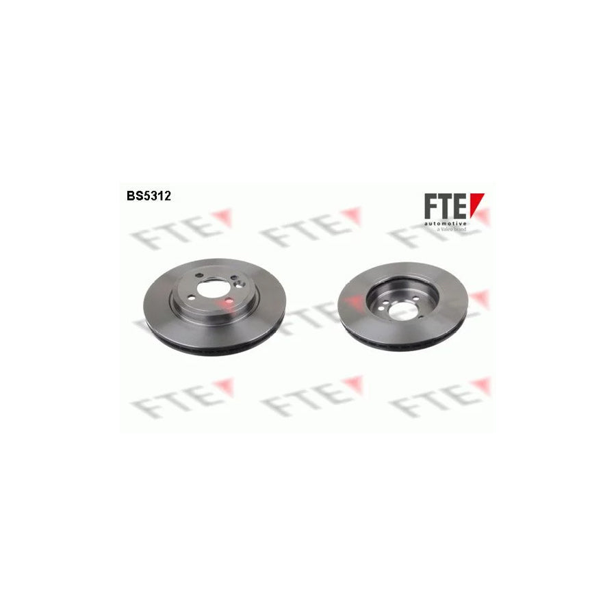FTE Bs5312 Brake Disc