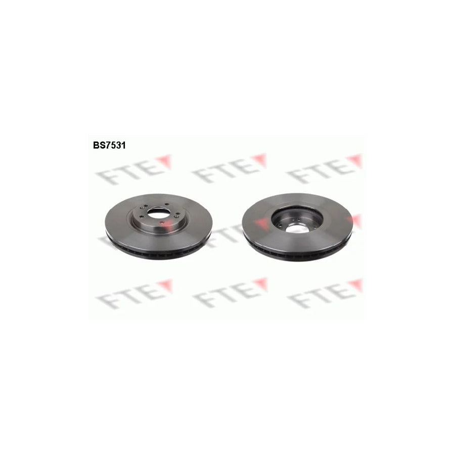 FTE Bs7531 Brake Disc for Hyundai Ix55 (En)