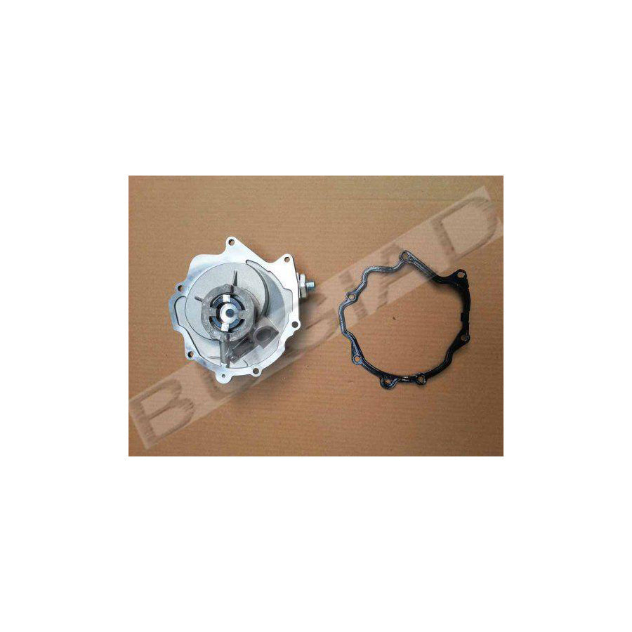 BUGIAD Bgt00005 Brake Vacuum Pump