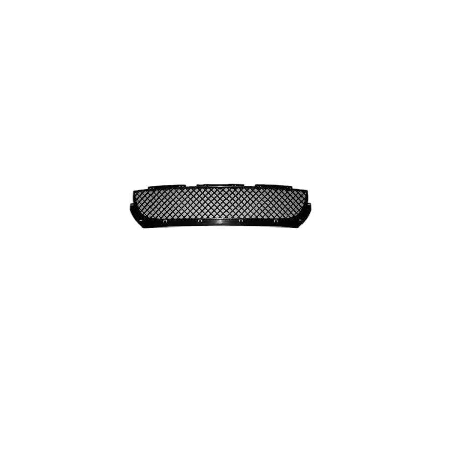 Genuine BMW 51117893331 E46 Grid, Bumper Front M (Inc. 325i, 316i 1.9 & 320i)