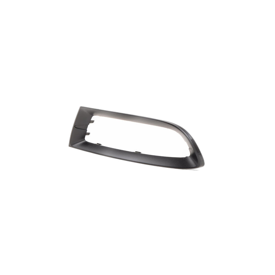 Genuine BMW 51117203793 E89 Trim Cover, Grill, Left SCHWARZ (Inc. Z4)