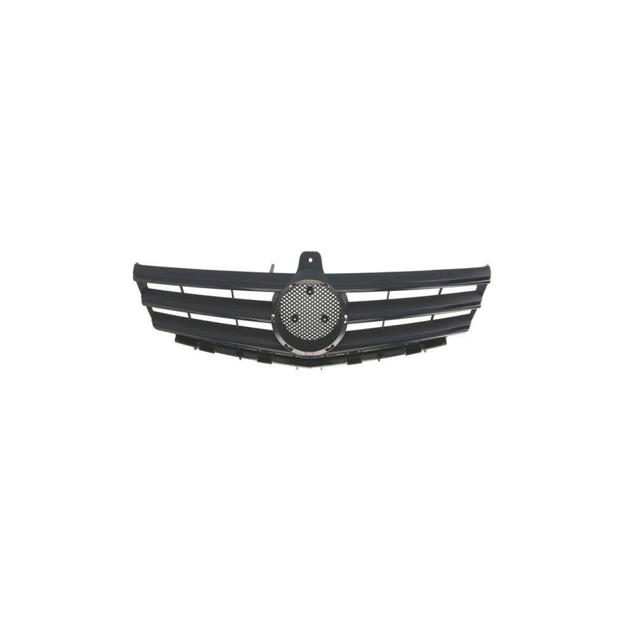 Blic 6502-07-3506994P Radiator Grille Suitable for Mercedes-Benz A-Class (W169)