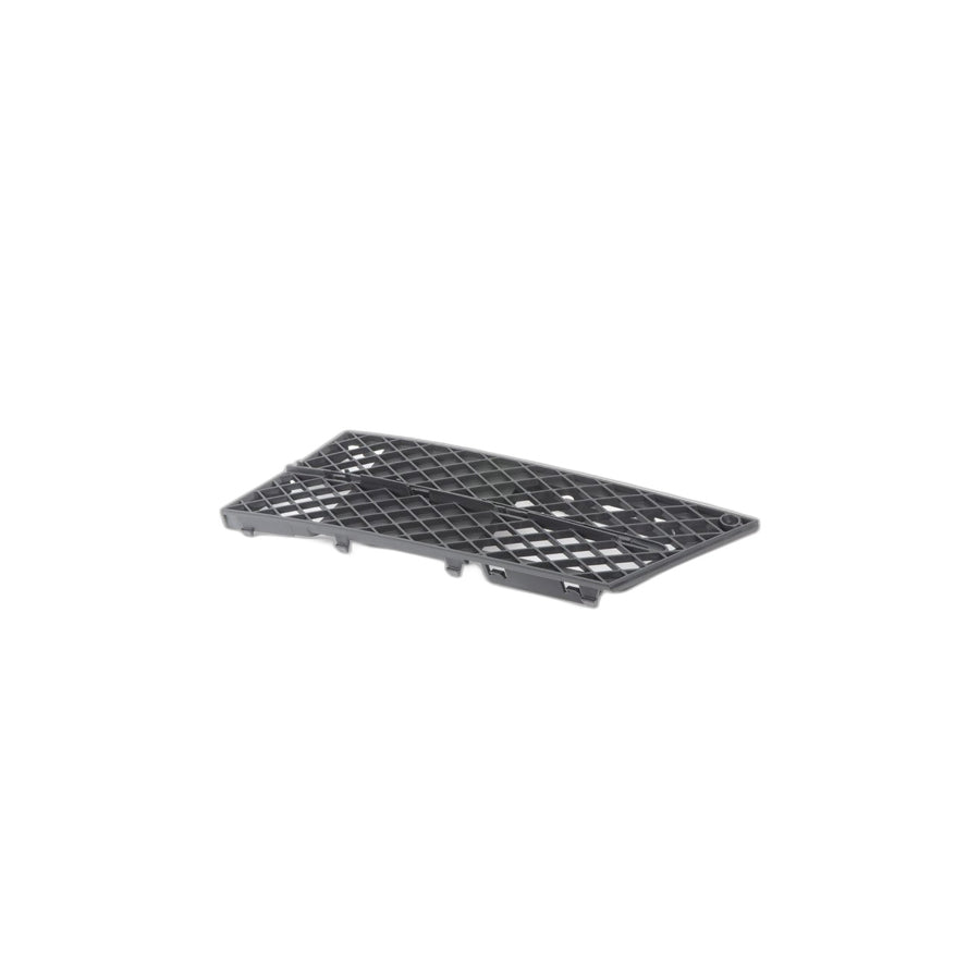 Genuine BMW 51117178097 E60 E61 Grid Lateral Left (Inc. 530i, 528xi & 535xi)