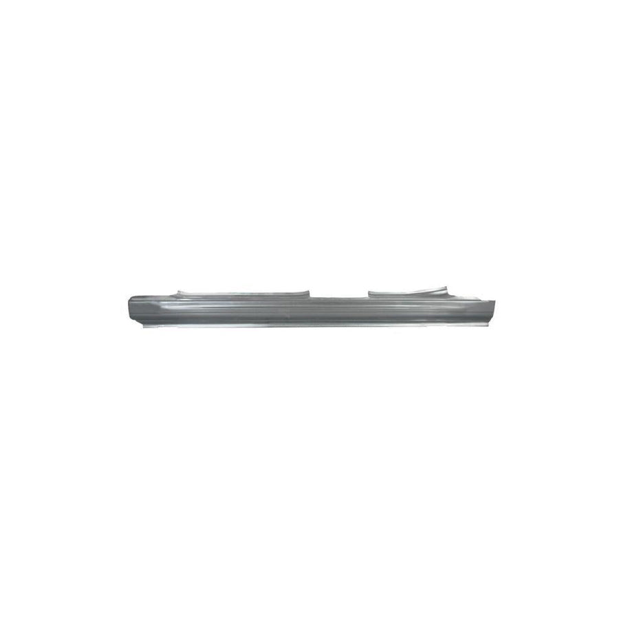 Blic 6505-06-5536011P Rocker Panel for Peugeot 406