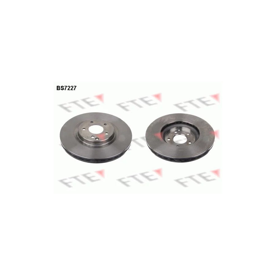 FTE 9071313 Brake Disc