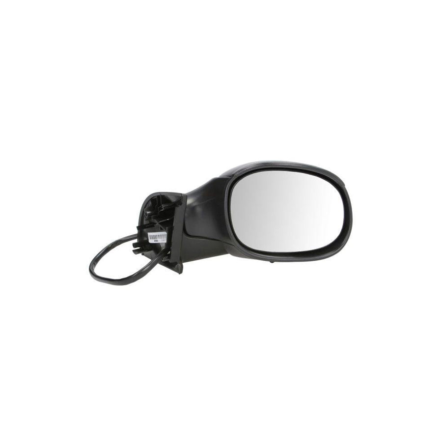 Blic 5402-04-1127851 Wing Mirror for Citroen C3 I Hatchback (Fc, Fn)