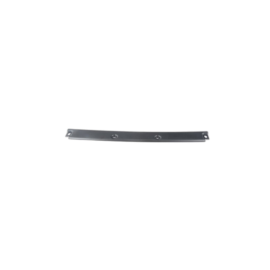 Genuine BMW 51497202641 E71 E72 Cover, Water Gutter, Rear, Center (Inc. X6)
