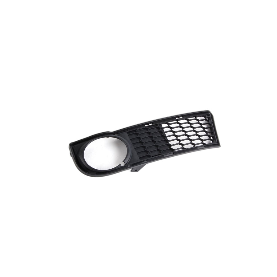 Genuine BMW 51118045449 E82 E88 Grid Lateral Left -M- (Inc. 123d, 120d & 128i)