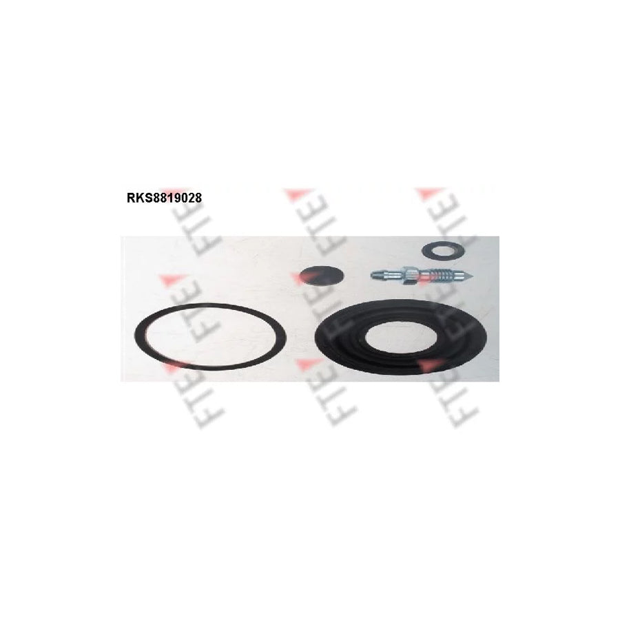 FTE Rks8819028 Repair Kit, Brake Caliper for Citroã N C4