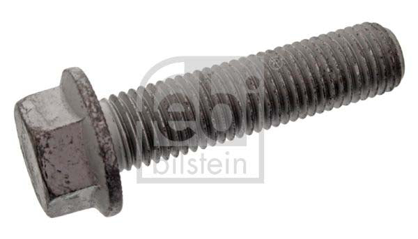 Febi Bilstein 10191 Screw | ML Performance UK Car Parts