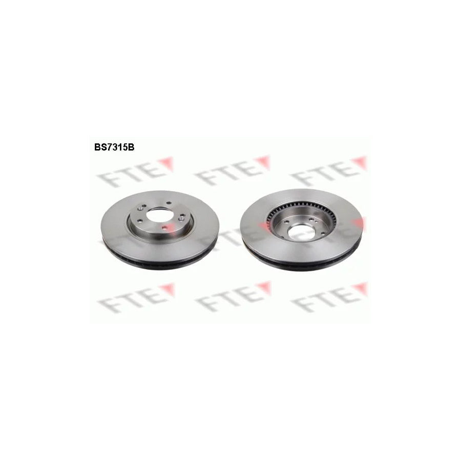 FTE 9081215 Brake Disc