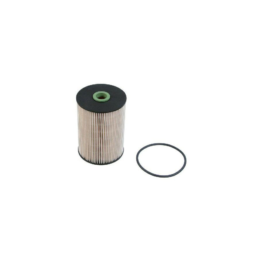 BUGIAD Bsp21703 Fuel Filter