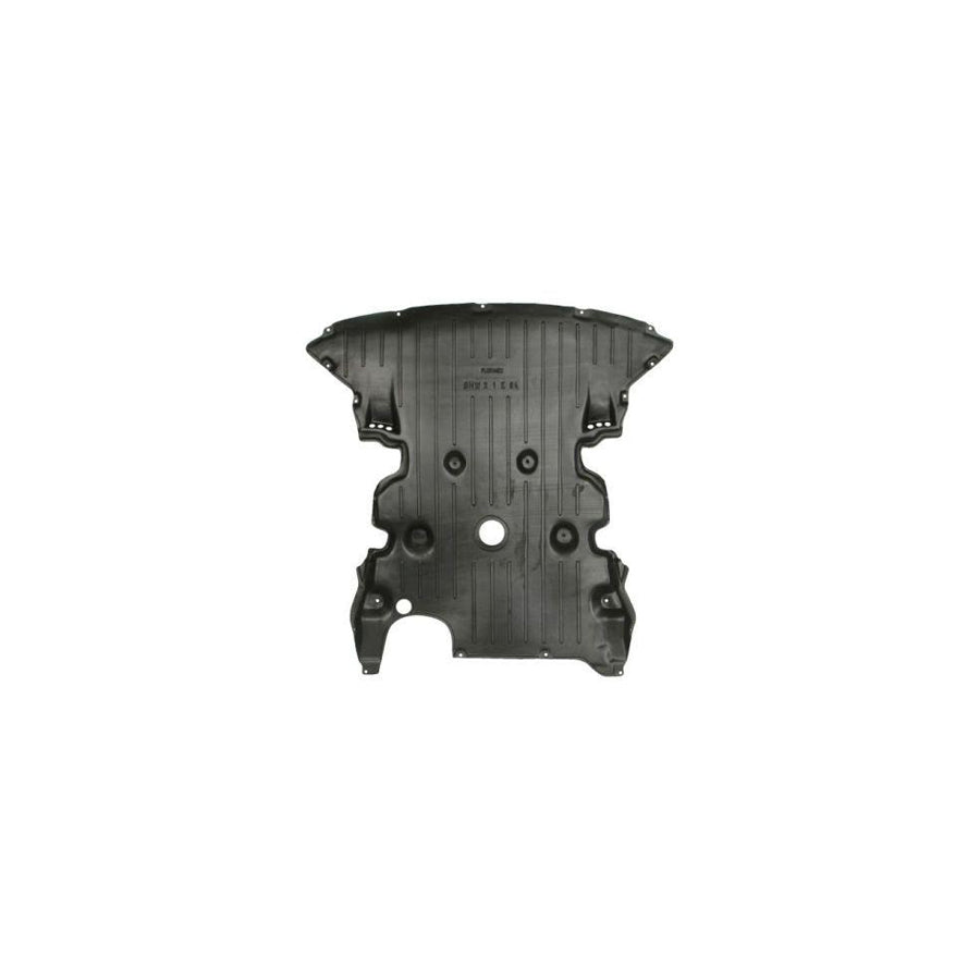 Blic 6601-02-0092860P Engine Cover for BMW X1 (E84)