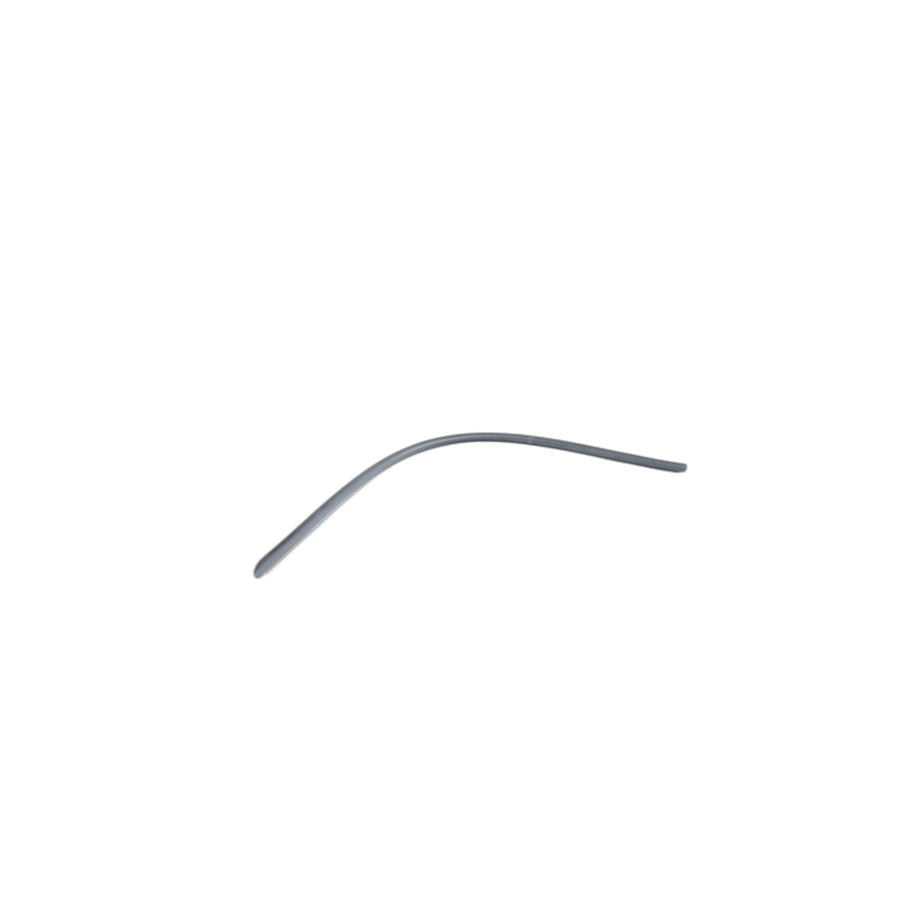 Genuine BMW 51703400815 E83 Door Weatherstrip Bottom Left (Inc. X3)