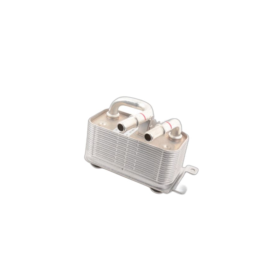 Genuine BMW 17217541059 E65 E66 Heat Exchanger (Inc. 750Li, 750i & 740i)
