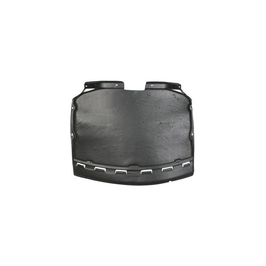 Blic 6601-02-0076860P Engine Cover for BMW 7 (E65, E66, E67)