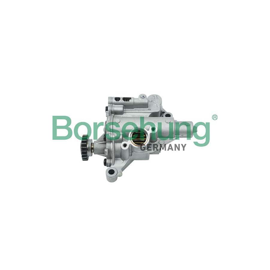 Borsehung B18758 Oil Pump