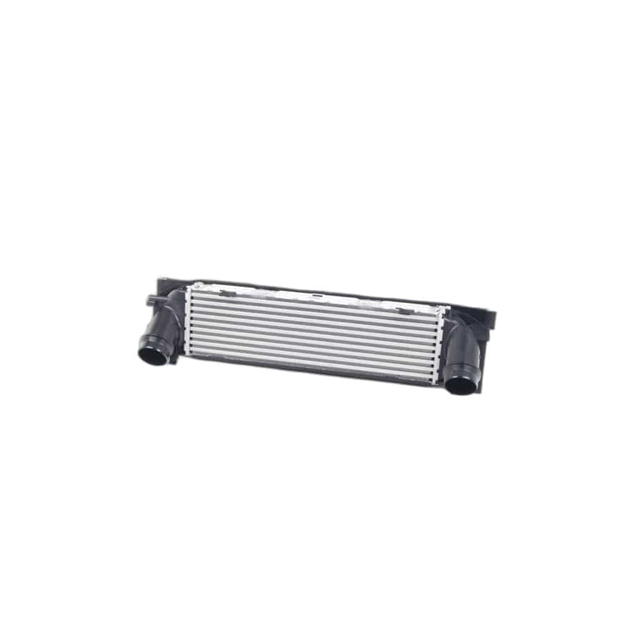 Genuine BMW 17517618809 F30 F32 F21 Charge-Air Cooler (Inc. 428iX, 428i & 318i)